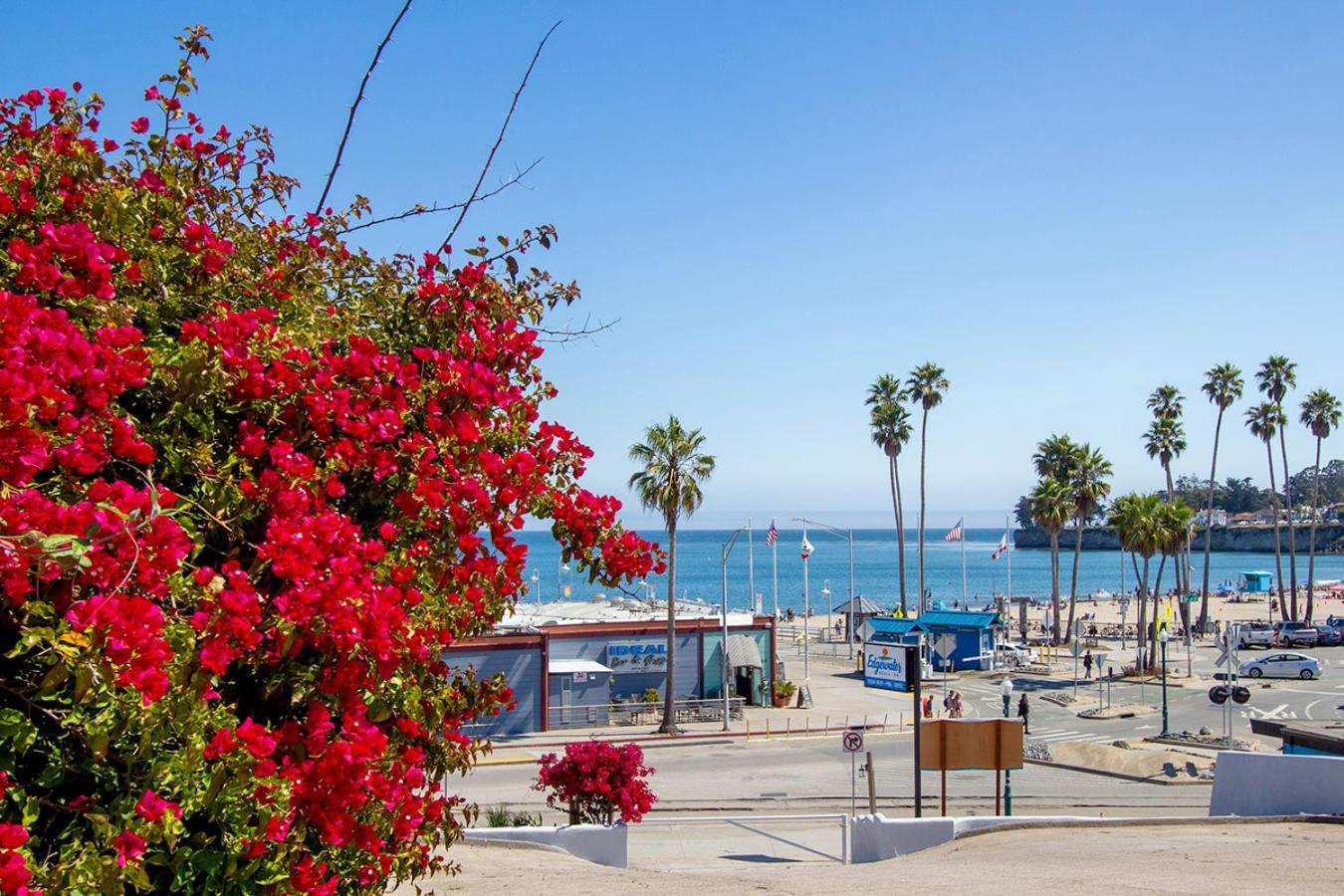 Edgewater Beach Inn سانتا كروز، كاليفورنيا المظهر الخارجي الصورة